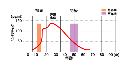 図　年齢と血中エストロゲン値